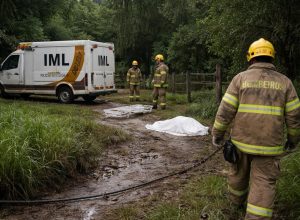 FB_IMG_1773912991904