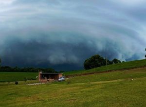 FB_IMG_1774118315661