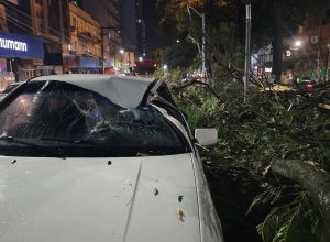 FB_IMG_1774135245686