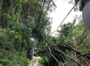 FB_IMG_1774215340321