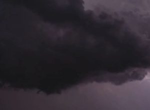 FB_IMG_1774220327633~2