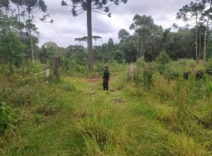 FB_IMG_1774483598998