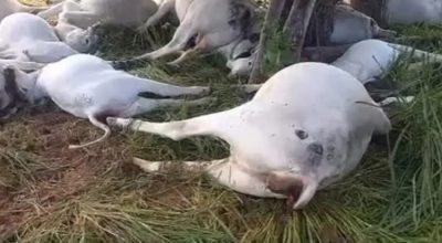 FB_IMG_1774538919325