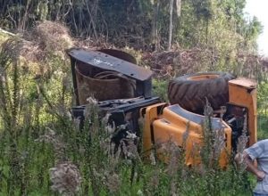 FB_IMG_1774655570726