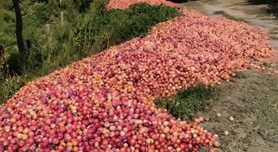 FB_IMG_1774712796752