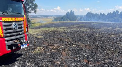 FB_IMG_1774735200886