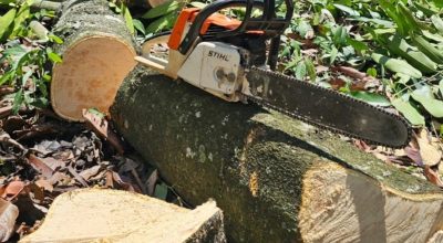 FB_IMG_1774798695696