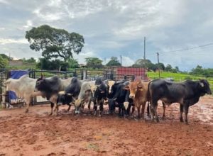 FB_IMG_1774884137537