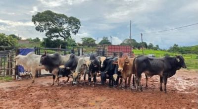 FB_IMG_1774884137537