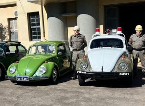 FB_IMG_1774885632364