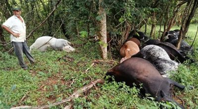 FB_IMG_1775143159281