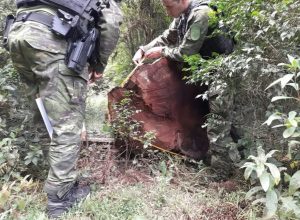 FB_IMG_1775254752343