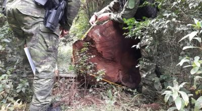 FB_IMG_1775254752343