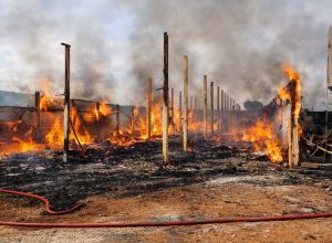 FB_IMG_1775403983871