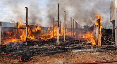 FB_IMG_1775403983871