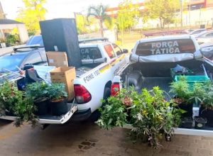 FB_IMG_1775520298711