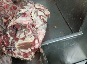 FB_IMG_1775575551738