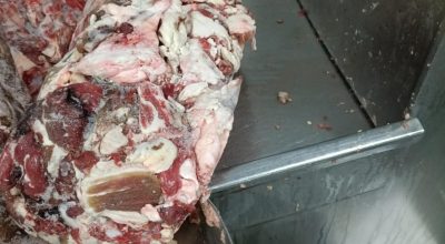 FB_IMG_1775575551738