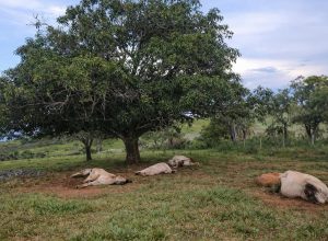 FB_IMG_1775661504517