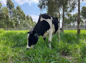 FB_IMG_1775683685312