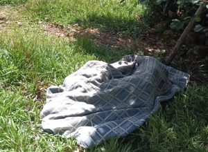 FB_IMG_1775767967108