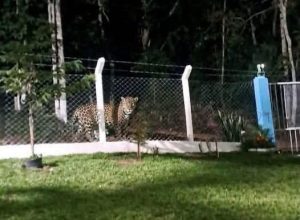 FB_IMG_1775778620149