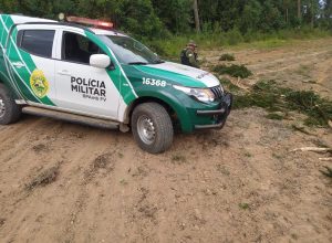 FB_IMG_1775820355067