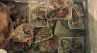 FB_IMG_1775863726221