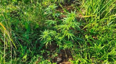 FB_IMG_1776191436869