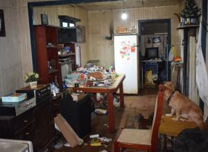 FB_IMG_1776211725049