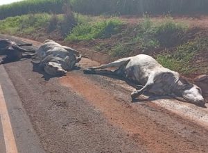 FB_IMG_1776266160219