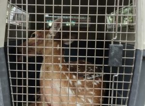 FB_IMG_1776295961163