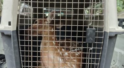 FB_IMG_1776295961163