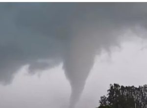 Screenshot_20260216-213858~2