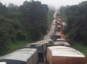 br_163_corte-1481196